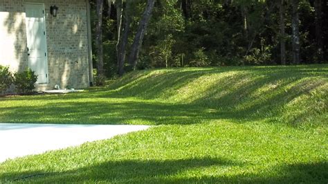 brown grass over distribution box|Green Grass over the septic tank, Brown Grass, Snow .